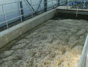 （制漿黑液有機硅消泡劑應用場景）